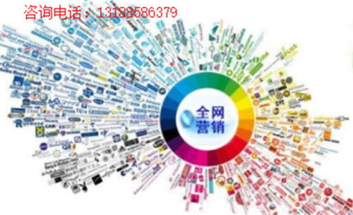 营口小程序系统开发与微信技术服务指南